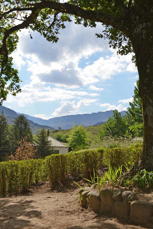 Mkomazana Mountain Cottages Himeville Zewnętrze zdjęcie